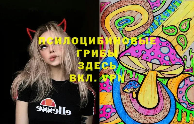 Псилоцибиновые грибы Psilocybe  Ялуторовск 